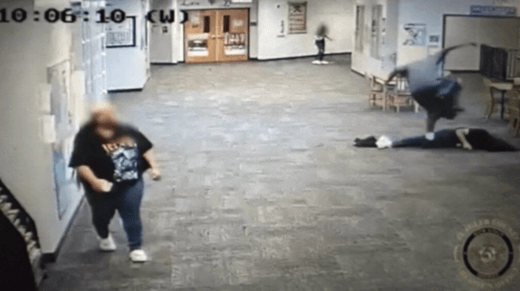 Lion article photo 2