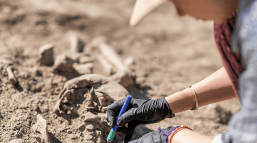 An archeologist brushing dirt away from an artifact