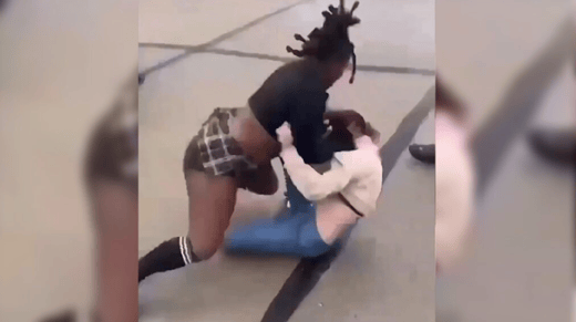 Lion article photo 2