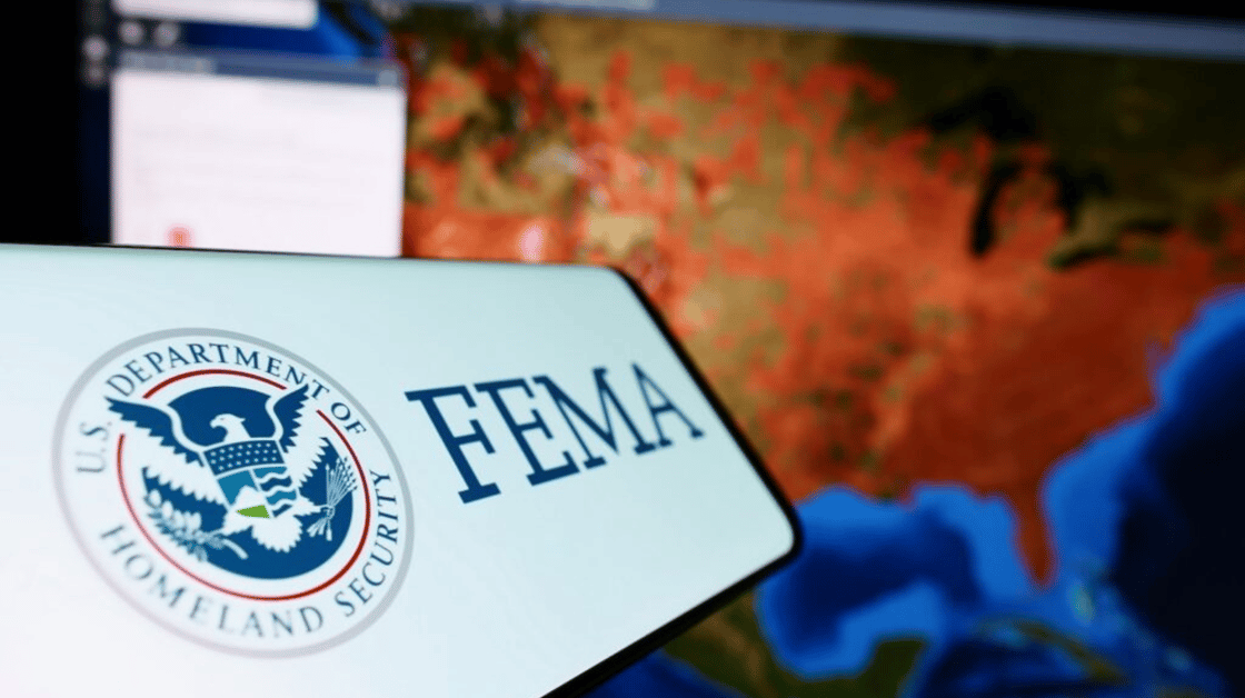 Lion article photo 2