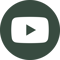 YouTube Logo